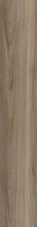 Harper Taupe 10 x 60